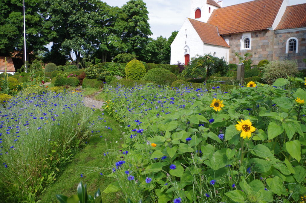 Mesing blomsterflor 2016 EB (1)